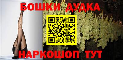 гидра Аша