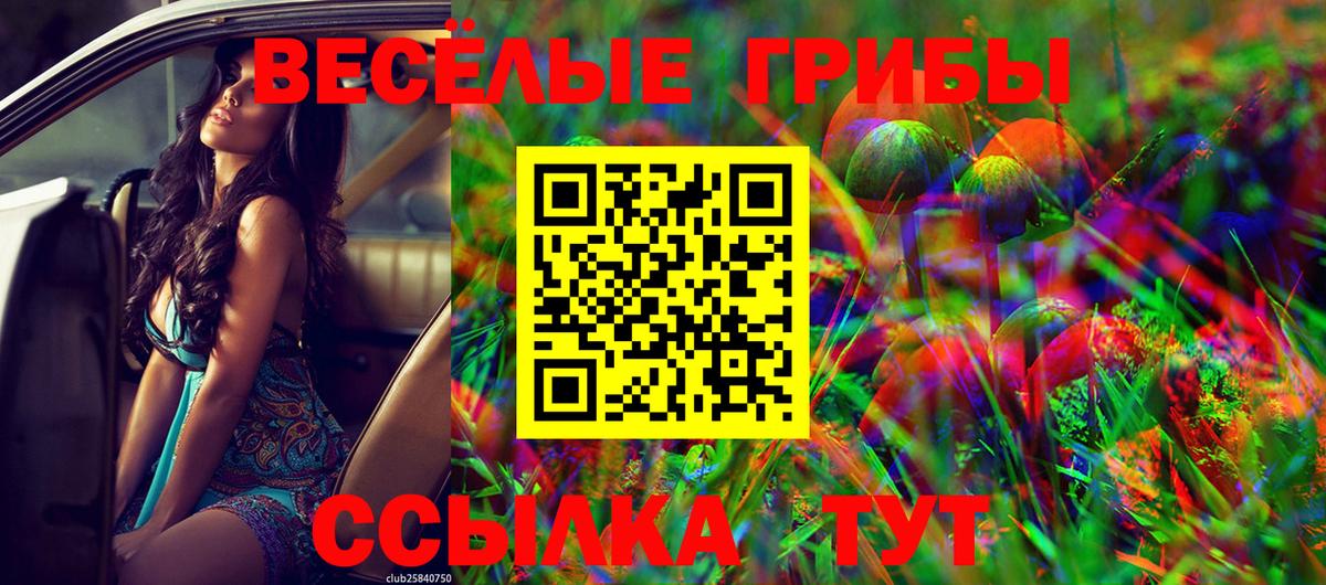 Псилоцибиновые грибы GOLDEN TEACHER  Вход с VPN  Ачхой-Мартан  Псилоцибиновые грибы ЛСД 