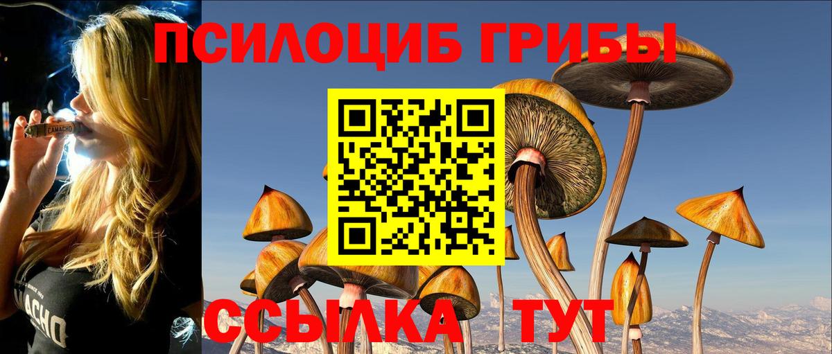 Меф мяу мяу Ачхой-Мартан